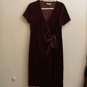 Madewell Velvet Dress